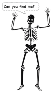 A skeleton is standing up with his arms raised.