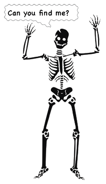 A skeleton is standing up with his arms raised.