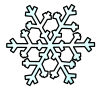 A white snowflake is shown on the black background.