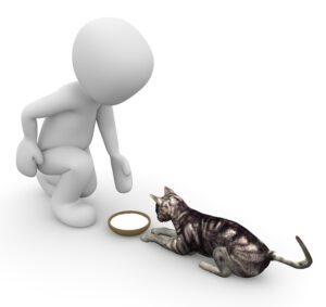 A cat is sitting on the ground next to a person.